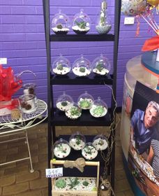 Cobram Florist - Hervey Bay Accommodation 3