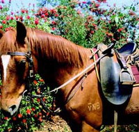 Western Plains Riding Centre - Hervey Bay Accommodation