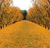 Sun Country on the Murray Farm Gate Trail - Hervey Bay Accommodation