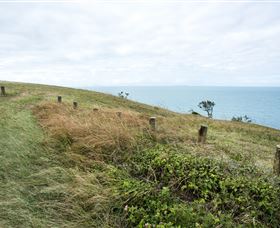 Cape Palmerston National Park - Hervey Bay Accommodation 3