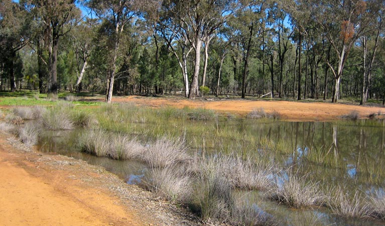 Beni NSW Hervey Bay Accommodation