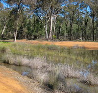 Beni State Conservation Area - Hervey Bay Accommodation
