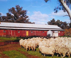 Savernake Day Tours - Hervey Bay Accommodation 1