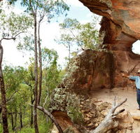 Pilliga National Park - Hervey Bay Accommodation
