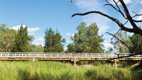 Pilliga National Park - Hervey Bay Accommodation 3