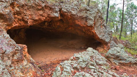 Pilliga National Park - Hervey Bay Accommodation 1