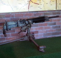 Woodpecker Gun - Hervey Bay Accommodation