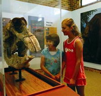 Australian Museum Diprotodon Exhibition - Hervey Bay Accommodation