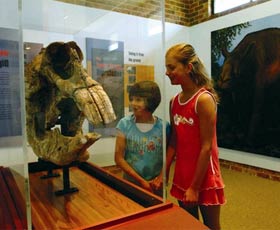 Australian Museum Diprotodon Exhibition - Hervey Bay Accommodation 0