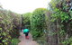 The Tangled Maze & Mistydowns Nursery - thumb 1