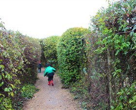 The Tangled Maze & Mistydowns Nursery - Hervey Bay Accommodation 1
