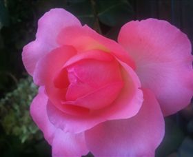 Abandon Stress Mobile Massage - Hervey Bay Accommodation 2