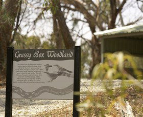 Coolamon NSW Hervey Bay Accommodation