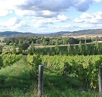 Sassy Wines - Hervey Bay Accommodation