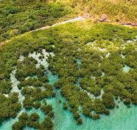 The Singapore Shipwreck Dive Site - Keswick Island