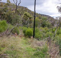 Lynchs loop trail - Hervey Bay Accommodation
