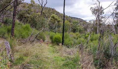 Lynchs Loop Trail - Tourism Hervey Bay 0