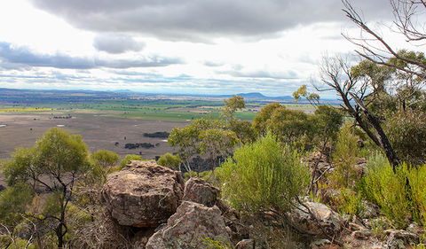 Lynchs Loop Trail - Tourism Hervey Bay 3