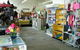Warrnambool Independent Traders Market - thumb 0