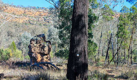 Eualdrie Walking Track - Tourism Hervey Bay 0