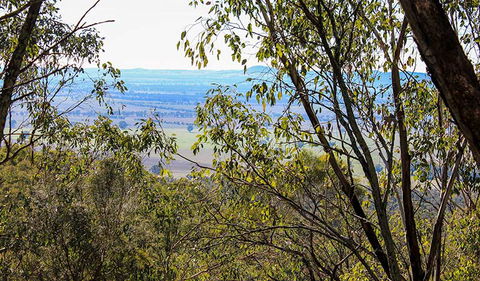 Eualdrie Walking Track - Tourism Hervey Bay 2