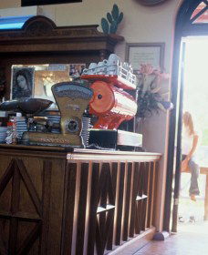 Cactus Cafe And Gallery - Hervey Bay Accommodation 1