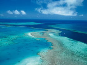Fairey Reef - Hervey Bay Accommodation 2
