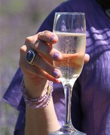 Yuulong Lavender Estate - Hervey Bay Accommodation 4