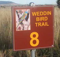 Weddin Bird Trails - Tourism Hervey Bay