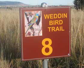 Weddin Bird Trails - Tourism Hervey Bay 0