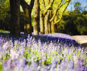 Duneira, Mt Macedon - Hervey Bay Accommodation 4