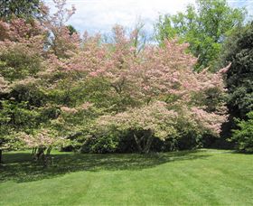 Duneira, Mt Macedon - Hervey Bay Accommodation 7