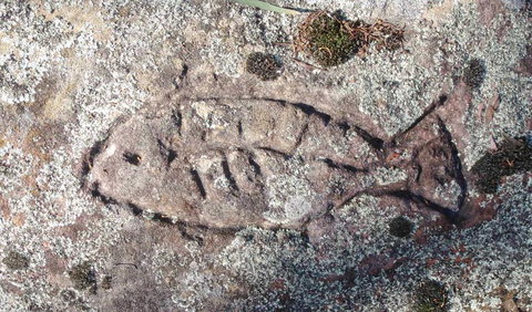 Terry Hie Hie Aboriginal Area - Tourism Hervey Bay 3