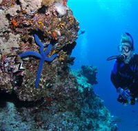 Lighthouse Bommie Dive Site - Hervey Bay Accommodation