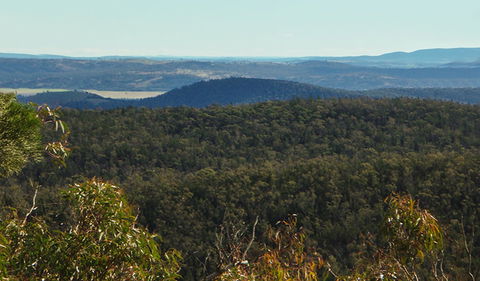 Conimbla National Park - Hervey Bay Accommodation 1