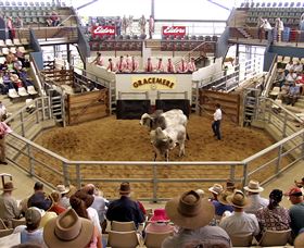 Gracemere Exhibition Complex - Hervey Bay Accommodation 1