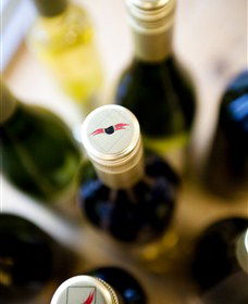 Charles Sturt University Winery Wagga Wagga - Hervey Bay Accommodation 2