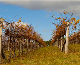 Charles Sturt University Winery Wagga Wagga - Hervey Bay Accommodation 3