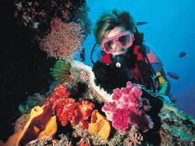 Great Barrier Reef - Whitsundays - Hervey Bay Accommodation 1
