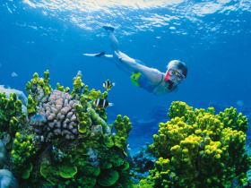 Great Barrier Reef - Whitsundays - Hervey Bay Accommodation 3