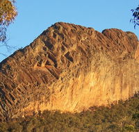 Kaputar scenic drive - Hervey Bay Accommodation