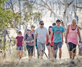 Winton Wetlands Reserve - Hervey Bay Accommodation 0
