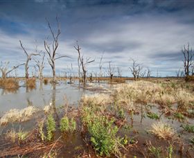 Winton Wetlands Reserve - Hervey Bay Accommodation 4