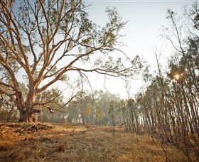 Winton Wetlands Reserve - Hervey Bay Accommodation 2