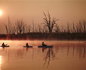 Winton Wetlands Reserve - Hervey Bay Accommodation 7