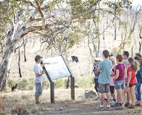 Winton Wetlands Reserve - Hervey Bay Accommodation 5