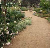 Perennialle Plants Nursery and Garden - Hervey Bay Accommodation