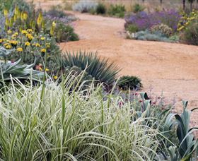 Perennialle Plants Nursery And Garden - Hervey Bay Accommodation 1