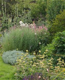 Perennialle Plants Nursery And Garden - Hervey Bay Accommodation 6