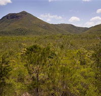 Kutini-Payamu Iron Range National Park CYPAL - Hervey Bay Accommodation
